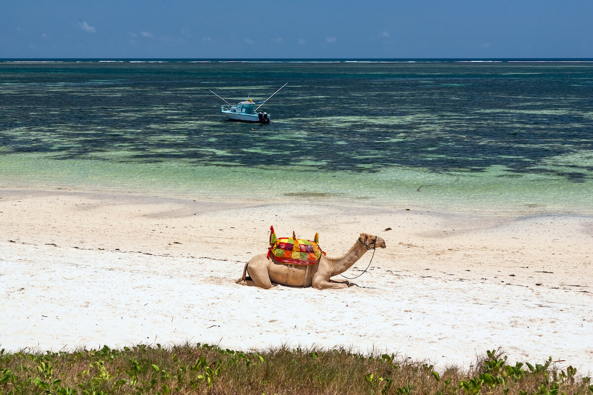 Zanzibár, egy apró afrikai gyöngyszem, amely bővelkedik a spiritualitásban