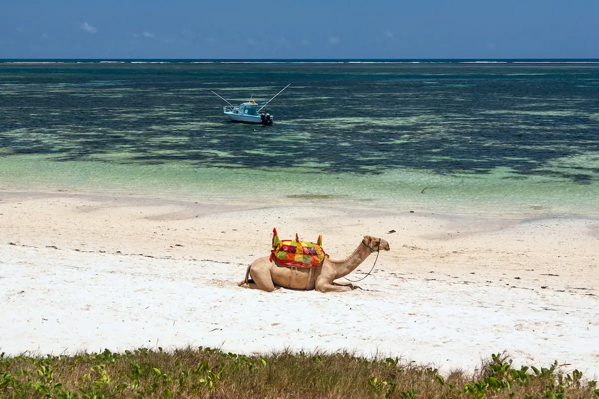 Zanzibár, egy apró afrikai gyöngyszem, amely bővelkedik a spiritualitásban