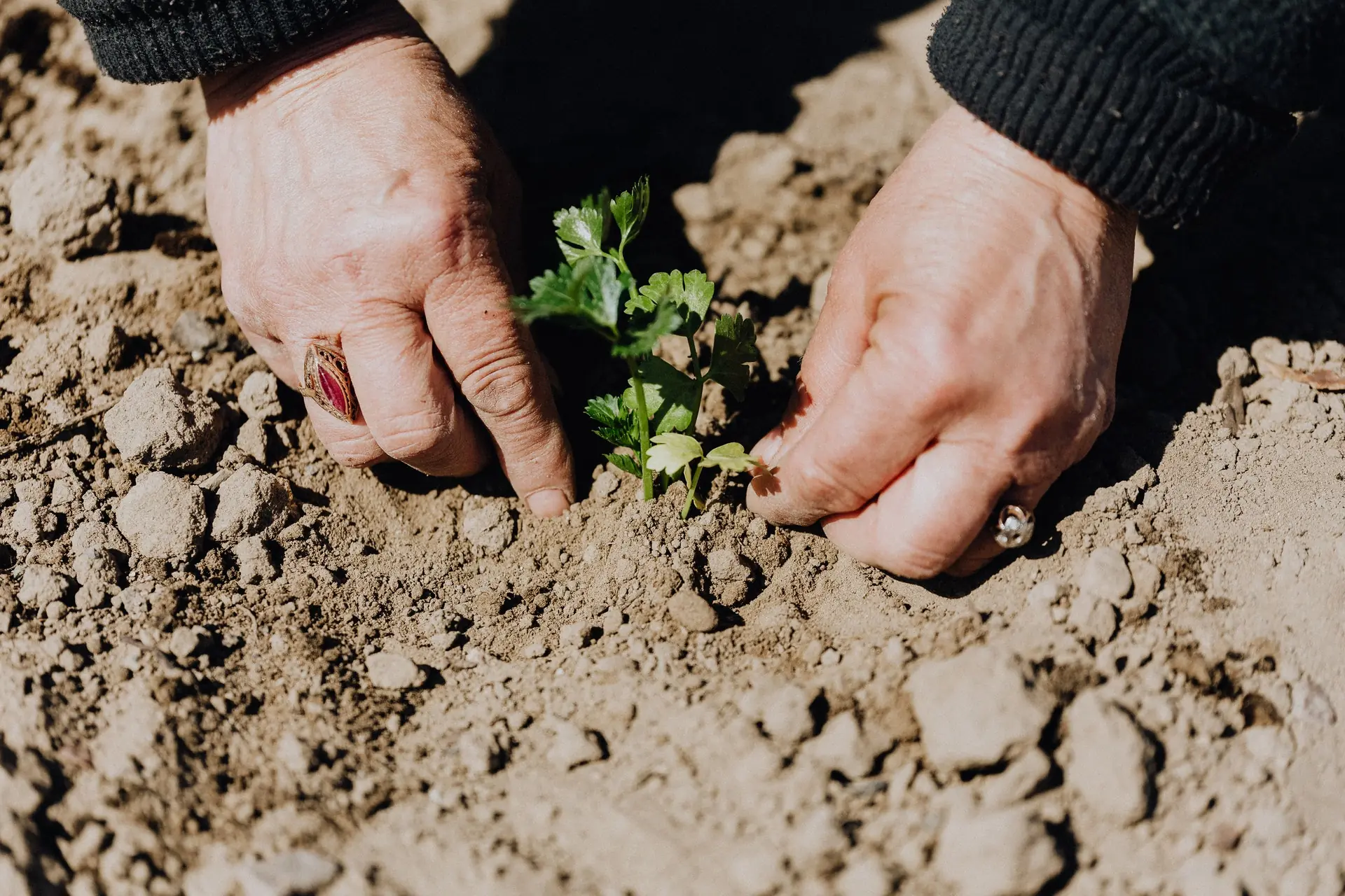 Kertünk okos kialakítása