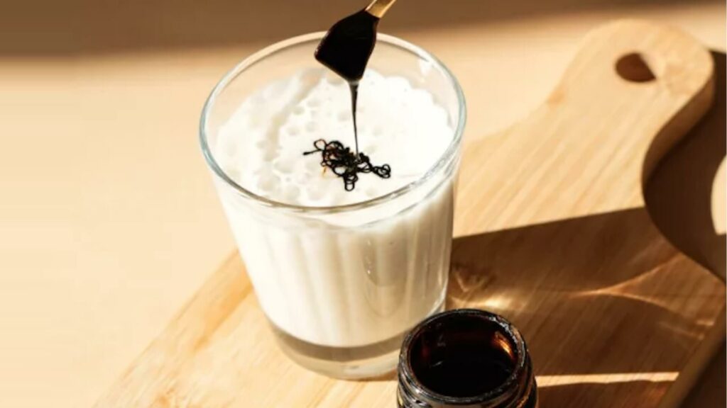 shilajit gyanta a Pranagarden kínálatából